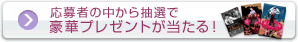 応募者の中から抽選で豪華プレゼントが当たる！