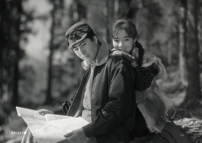 女豹 