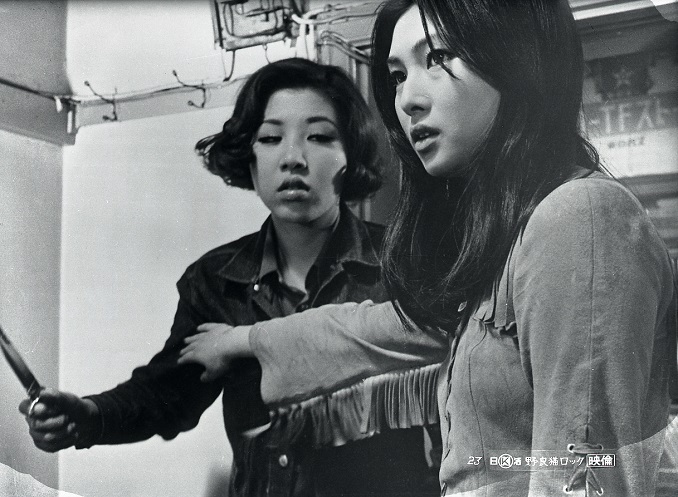 梶芽衣子の映画 女番長 野良猫ロック 野良猫ロックシリーズの第1作 和田アキ子主演 人生 嵐も晴れもあり 梶芽衣子の映画 女番長 野良猫ロック 野良猫ロックシリーズの第1作 和田アキ子主演 人生 嵐も晴れもあり