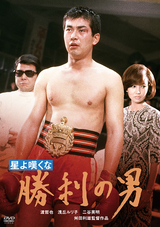 1_200303hoshiyonagekunashourinootoko-DVD.jpg