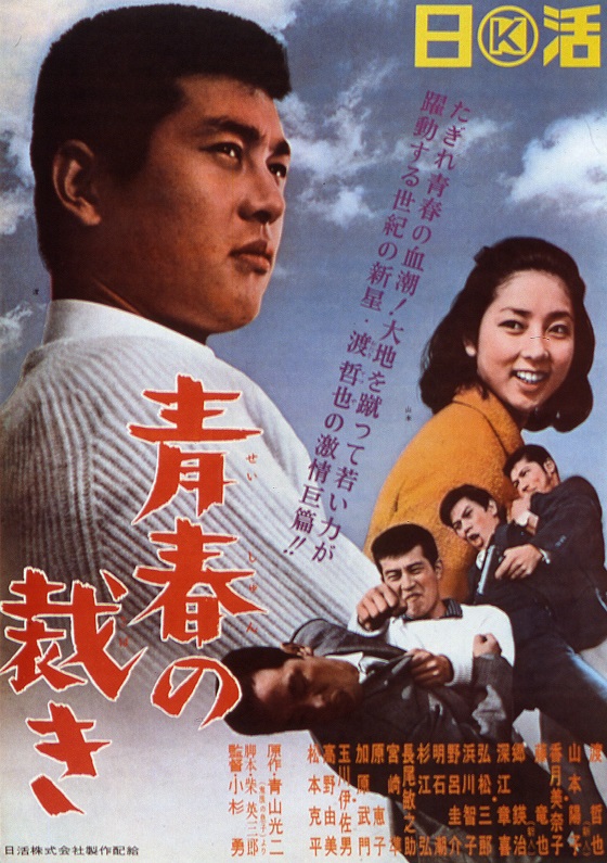青春の裁き 映画 日活 青春の裁き 映画 日活