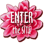 ENTER the SITE