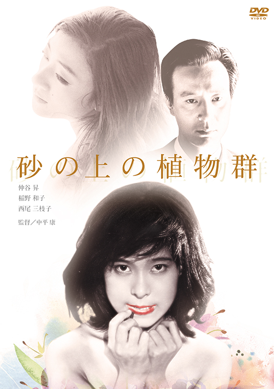 砂の上の植物群 Dvd ブルーレイ 日活 砂の上の植物群 Dvd ブルーレイ 日活