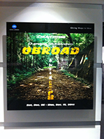 141206_haido1.jpg